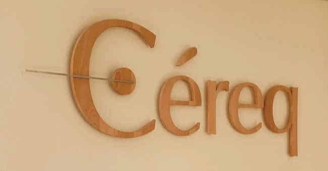 Logo en bois de hêtre